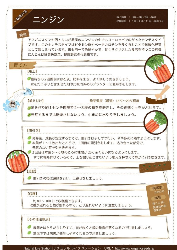 ニンジンの育て方.pdf.jpg