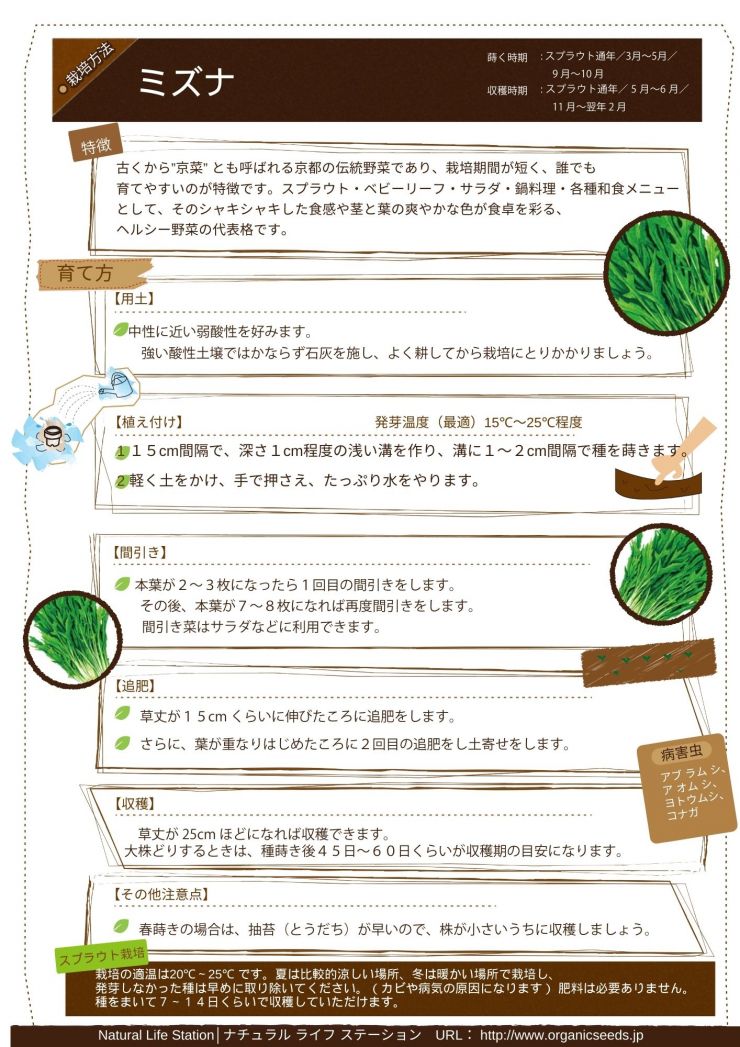 ミズナの育て方.pdf.jpg