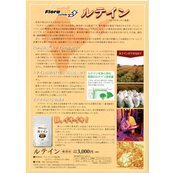 ルティンチラシ2正方形.jpg