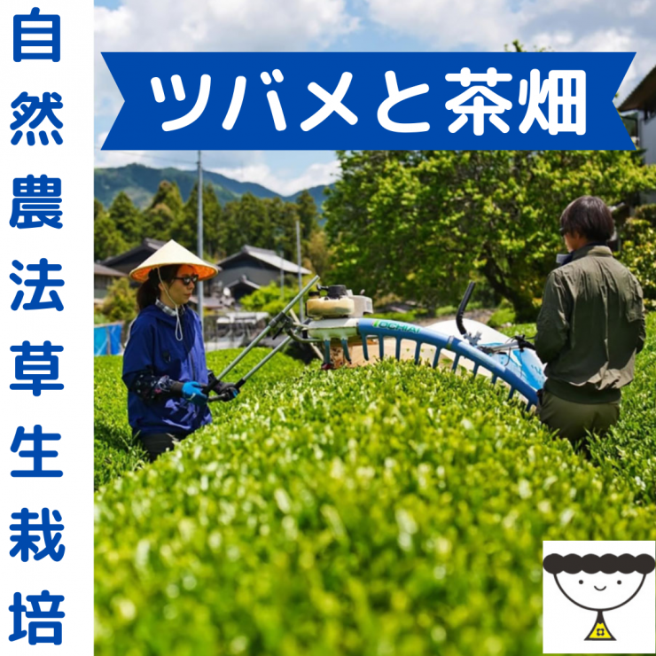 段落テキスト (10).png