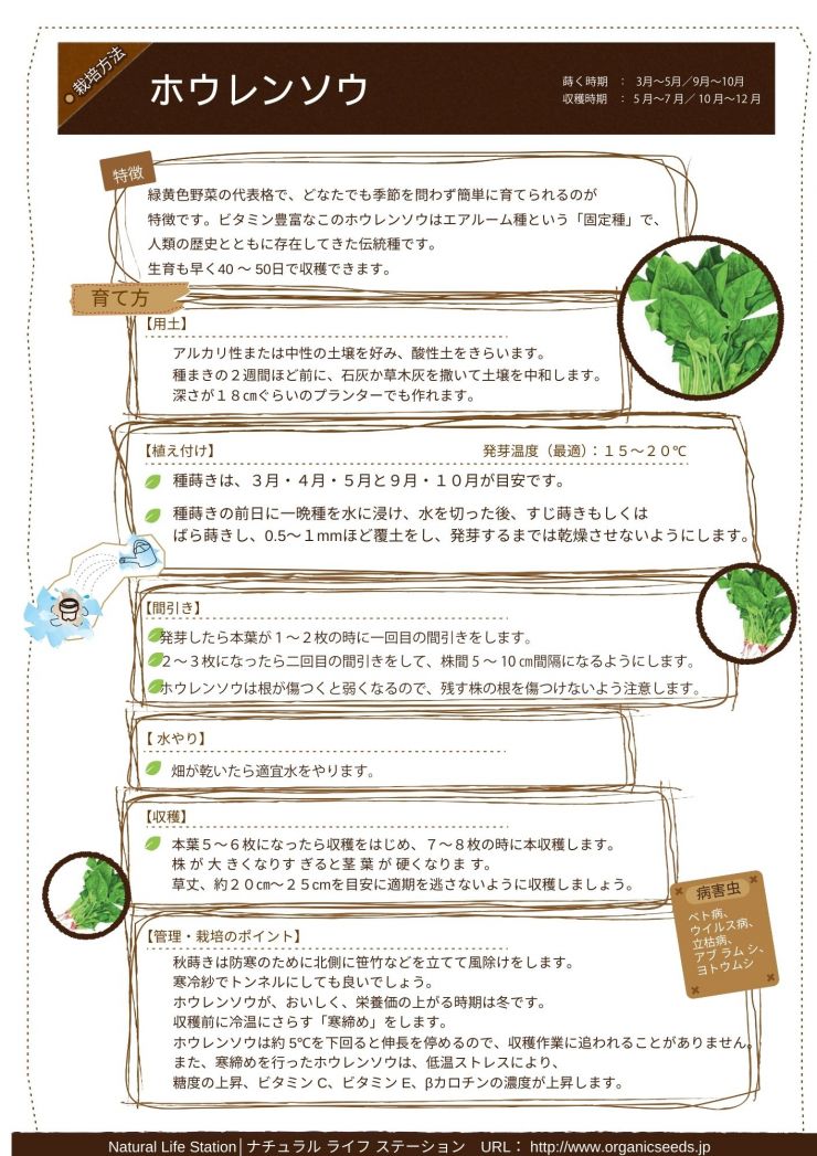 ホウレンソウの育て方.pdf.jpg