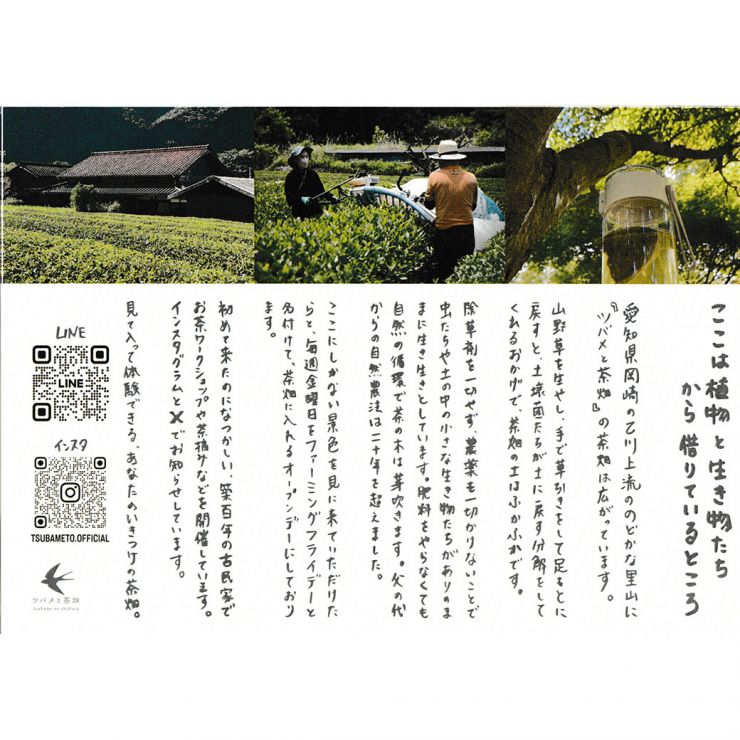 ツバメと茶畑チラシ1-1040.jpg