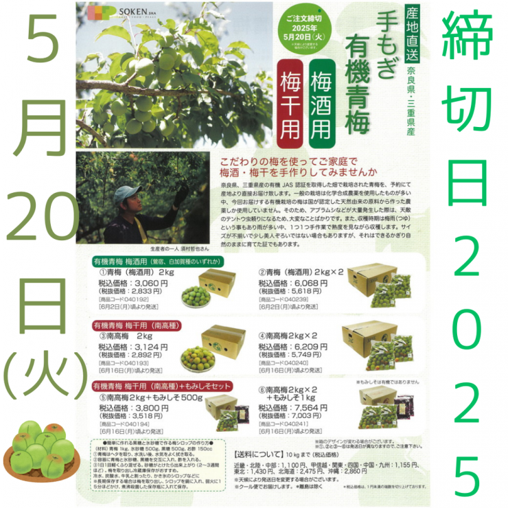 2025梅[1].png