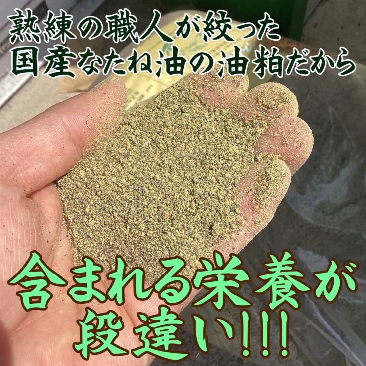 菜園アイテムSNS用画像2.jpg