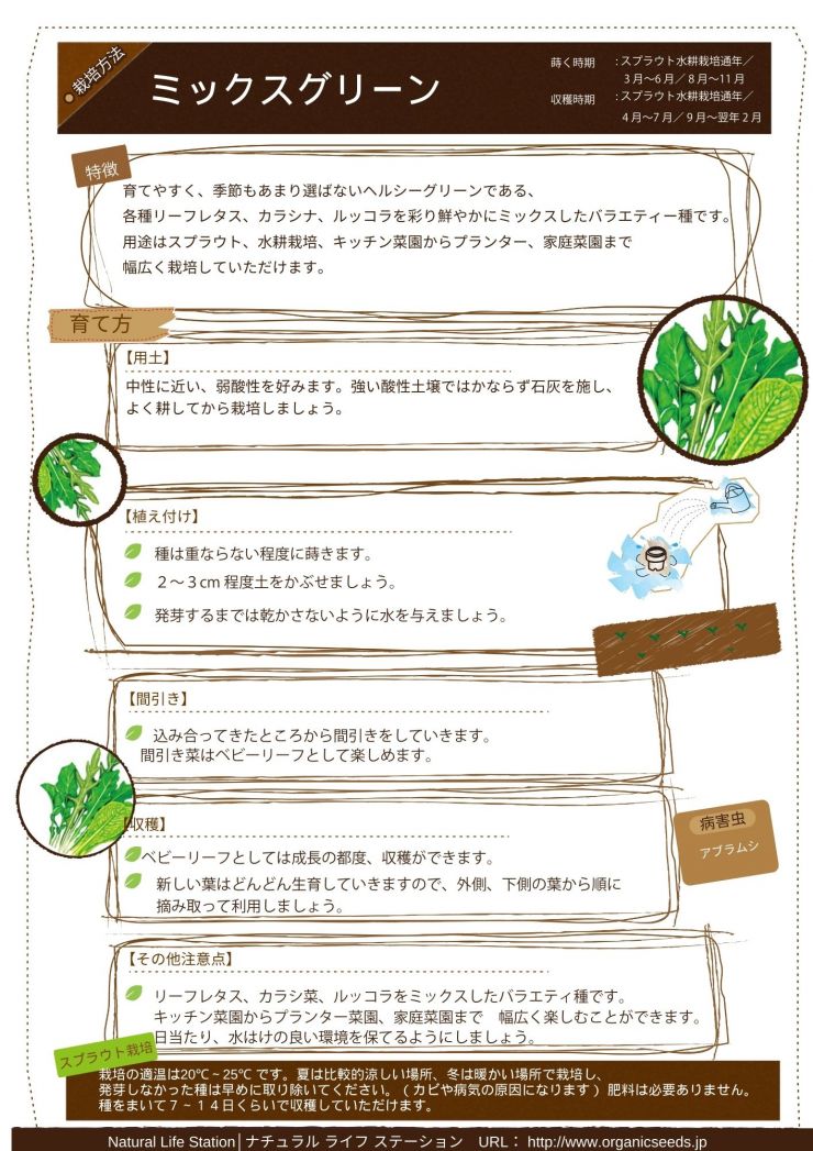 ミックスグリーンの育て方.pdf.jpg