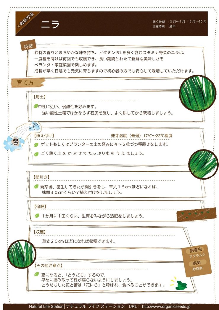 ニラの育て方.pdf.jpg