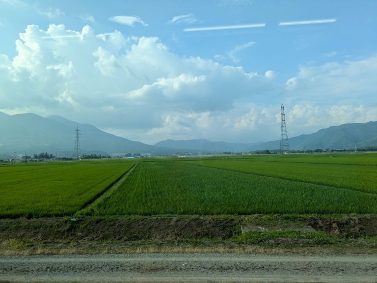 PXL_20250709_075031137.jpg