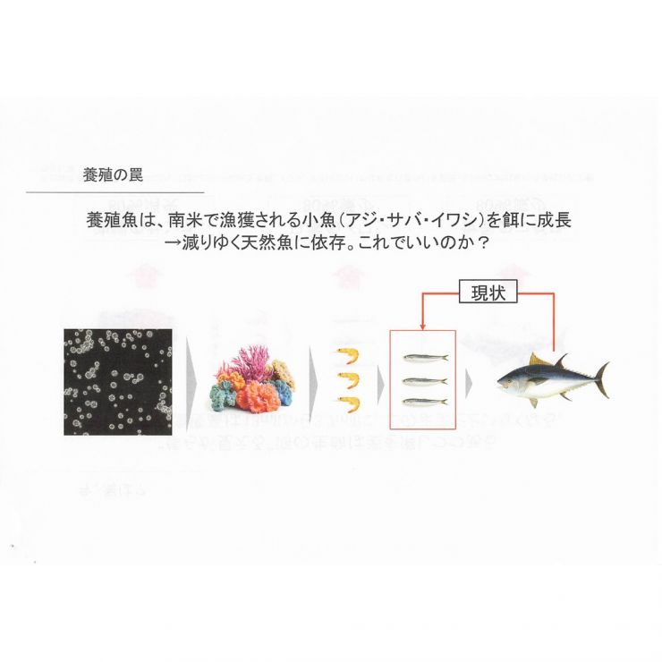 資料_p07.jpg