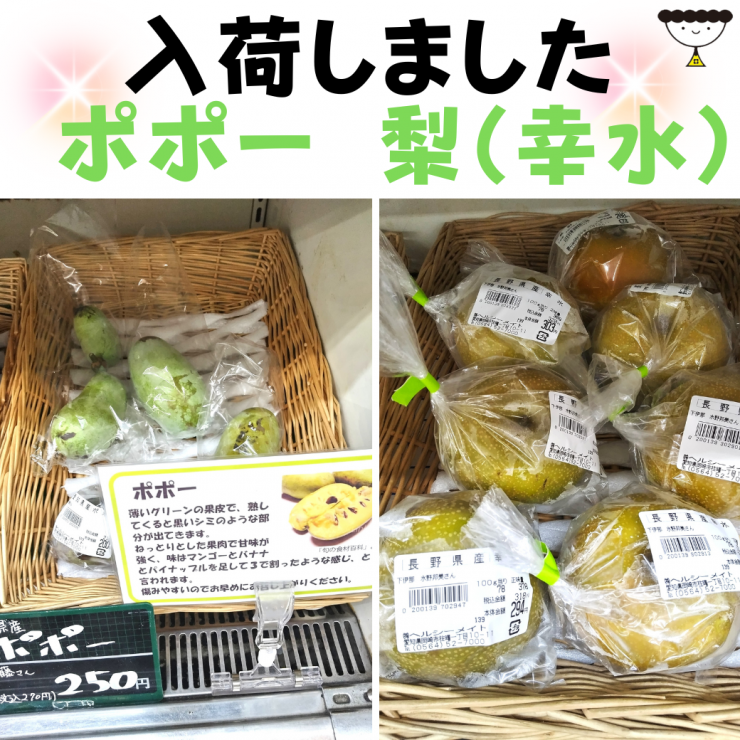 ポポー&梨1040×1040.png